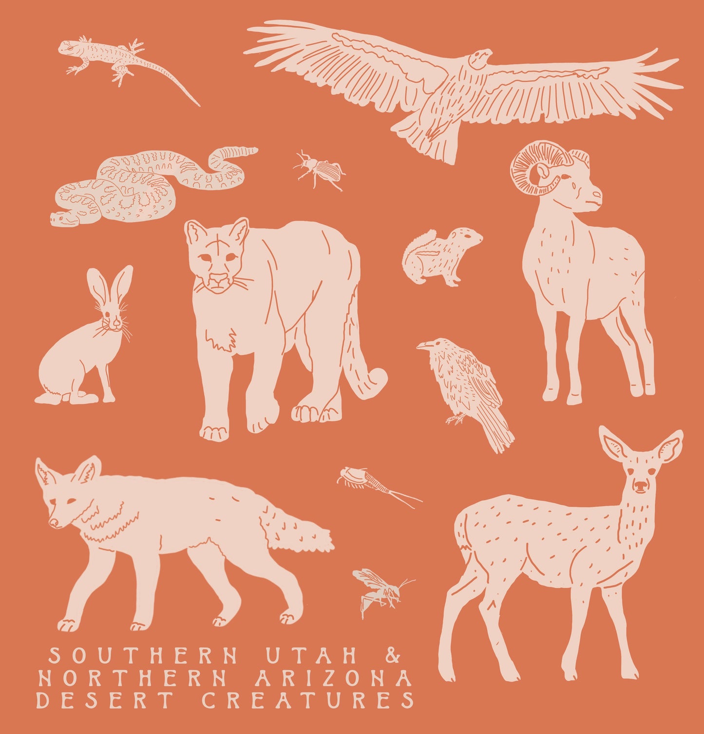 Southern Utah/Northern Arizona Desert Animals Magnet