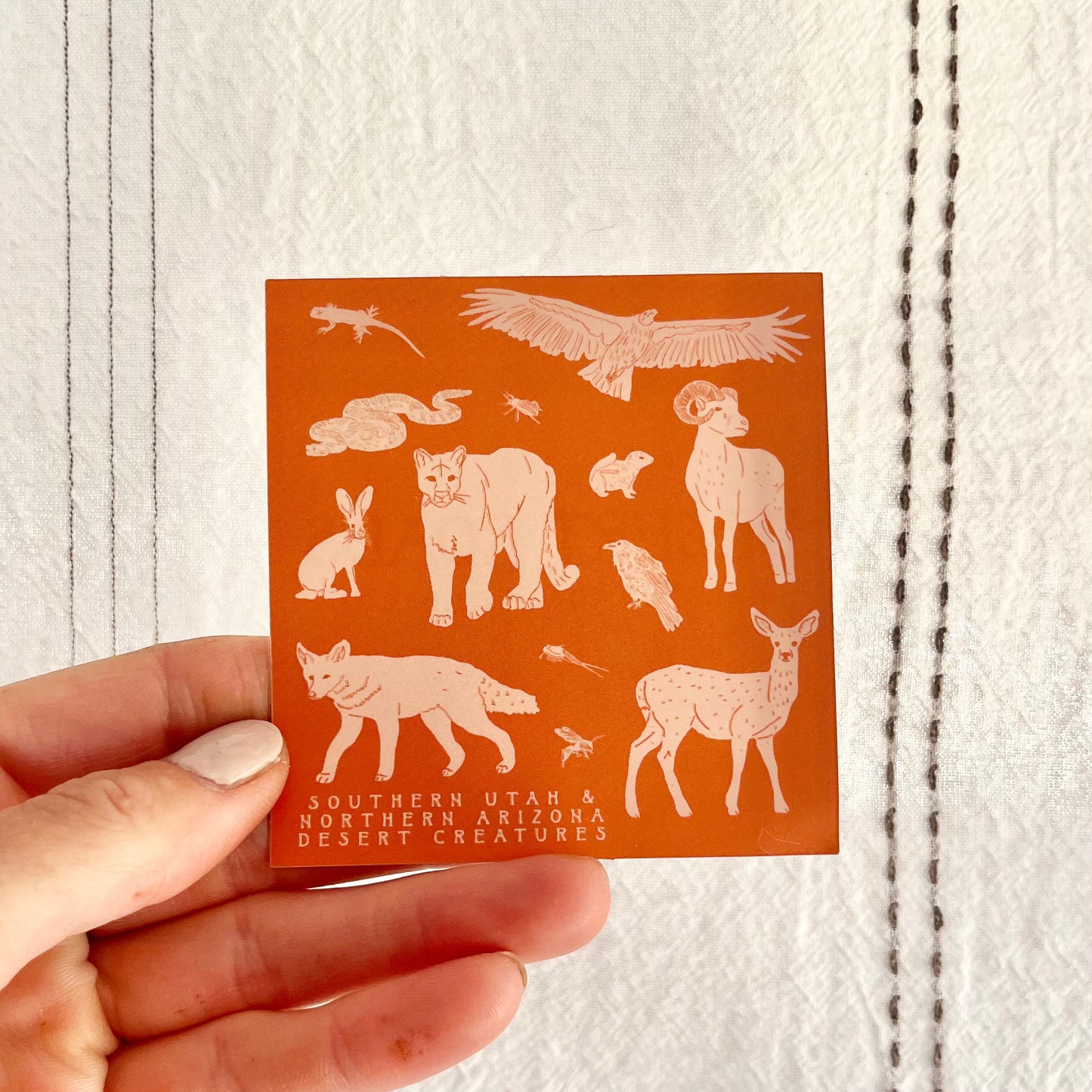 Southern Utah/Northern Arizona Desert Animals Vinyl Sticker